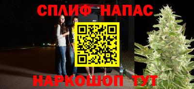 бошки Славгород