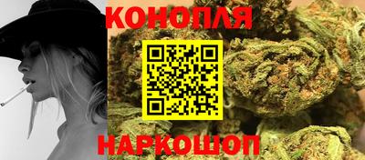 альфа пвп Севастополь