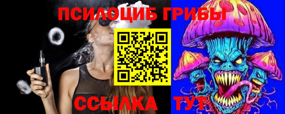 Павлово  Псилоцибиновые грибы Magic Shrooms  Вход с VPN 